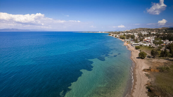 Psalidi kos